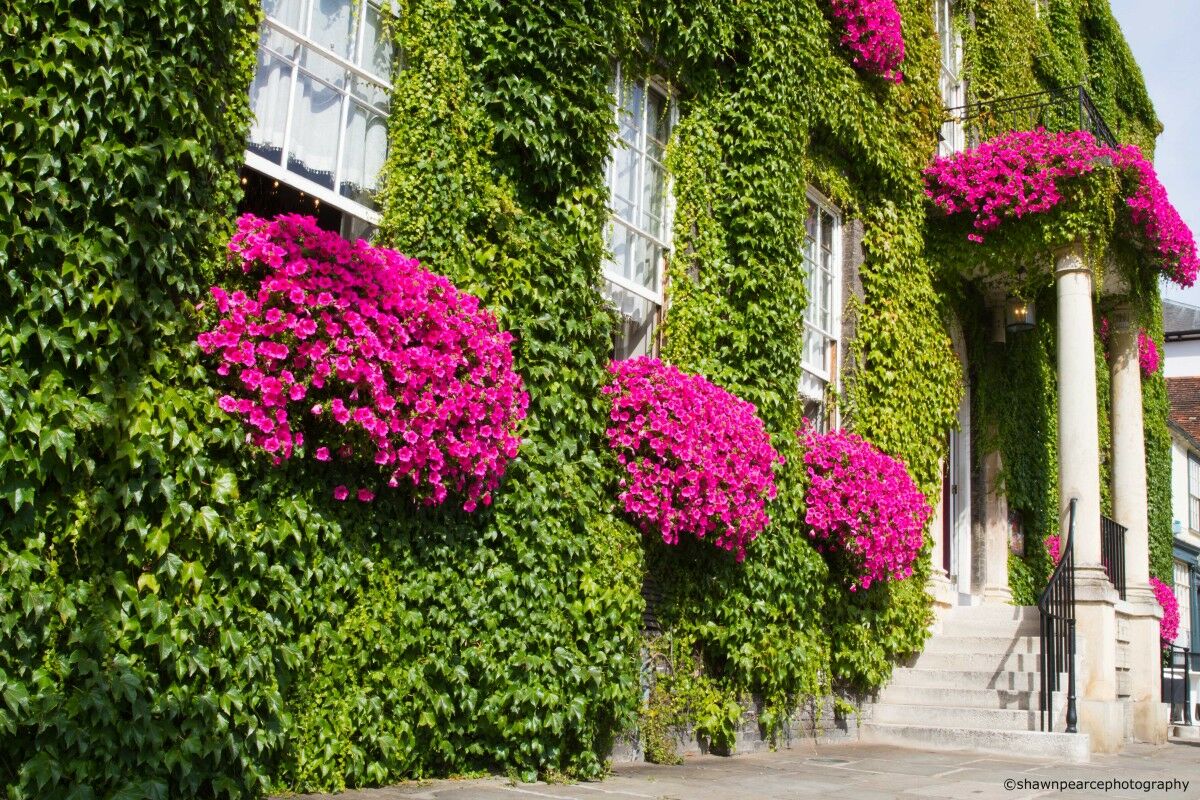 Angel Hotel Bury St. Edmunds Екстериор снимка